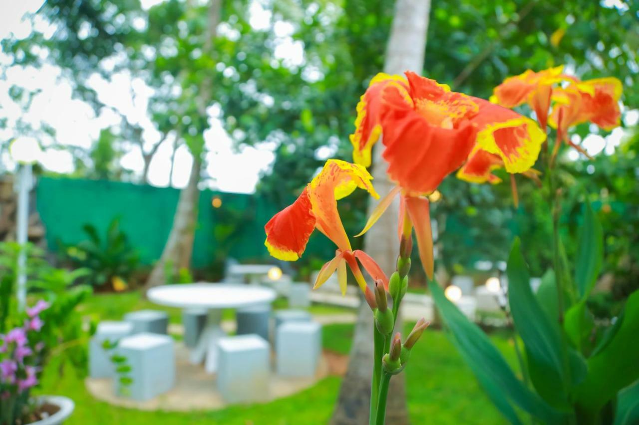 Hotel Moonstone Anuradhapura Zewnętrze zdjęcie